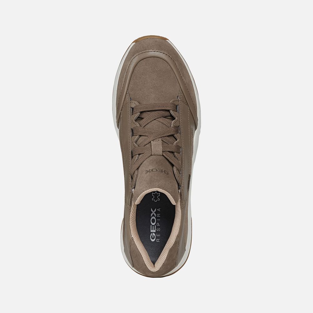 Geox Bayan Spor Ayakkabı Koyu Bej Rengi - Falena Abx - CAZ-856491